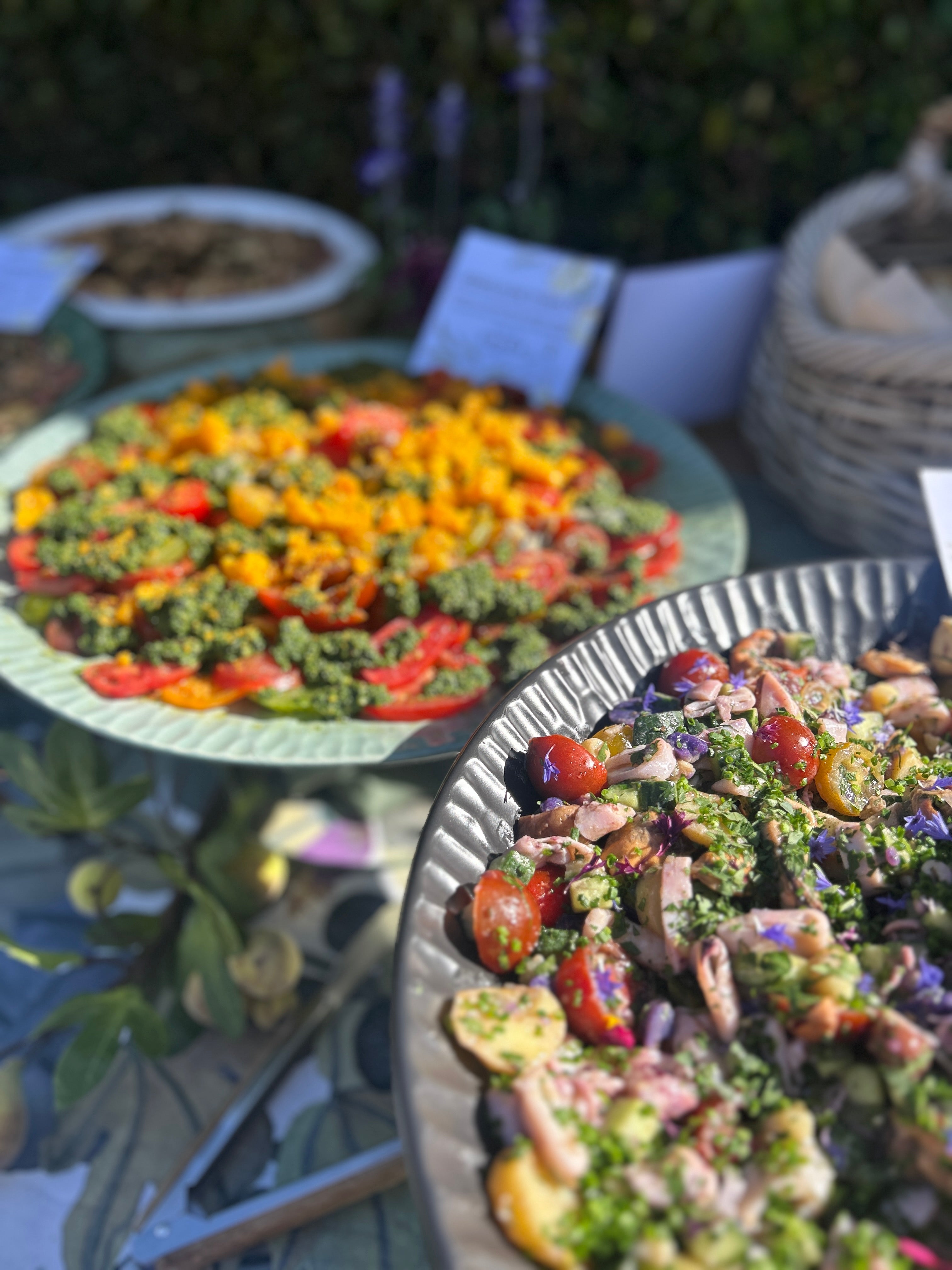 Plates of colorful salad on a table with blurred background