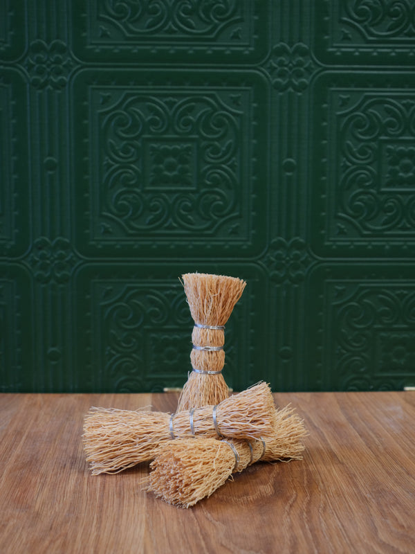 Kitchen Dish Brush