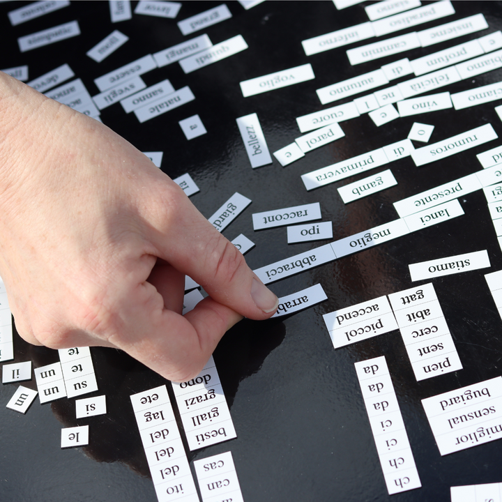 Italian Magnetic Poetry Kit